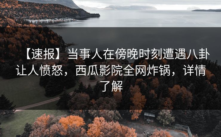 【速报】当事人在傍晚时刻遭遇八卦让人愤怒，西瓜影院全网炸锅，详情了解