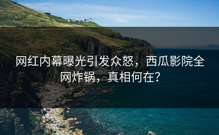 网红内幕曝光引发众怒，西瓜影院全网炸锅，真相何在？