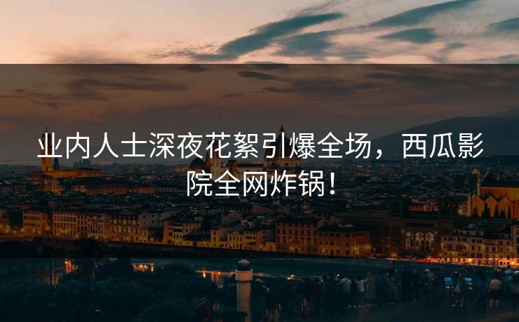 业内人士深夜花絮引爆全场，西瓜影院全网炸锅！